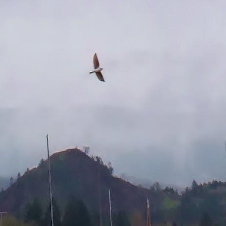 I am blessed to have worked with the best people this world has ever known. I photograph and record mineral emissions as well as REAL Flying units.