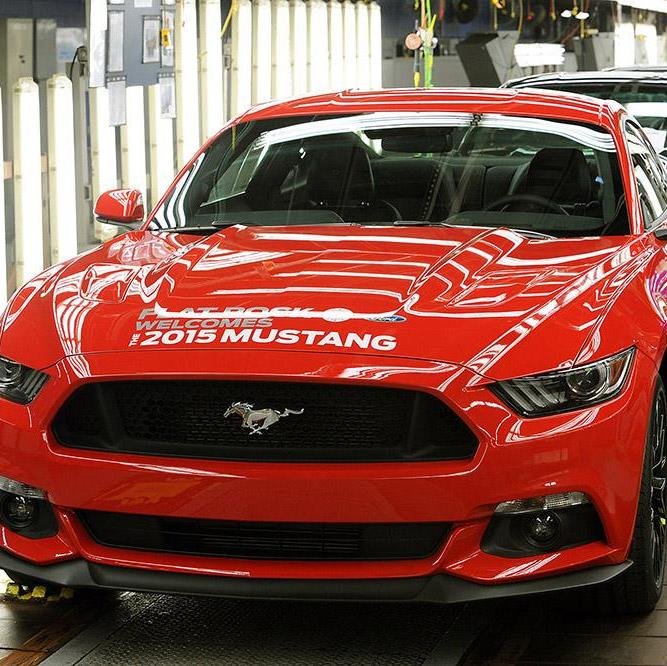 MesselJohn's profile picture. 