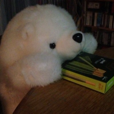 元彼は生田流 今彼は山田流 うさぎとの癒し生活。こたの日常はこちらから→ @kotaro_lop