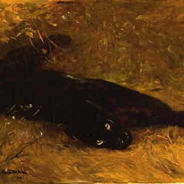 PerrysAss's profile picture. We wipe our ass with Perry