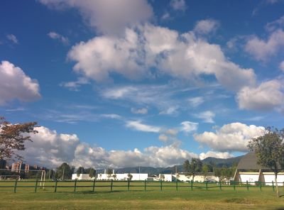 bjpalmab's profile picture. Costeño en la nevera... Bibliotecas, Repositorios, Información y transformación digital!