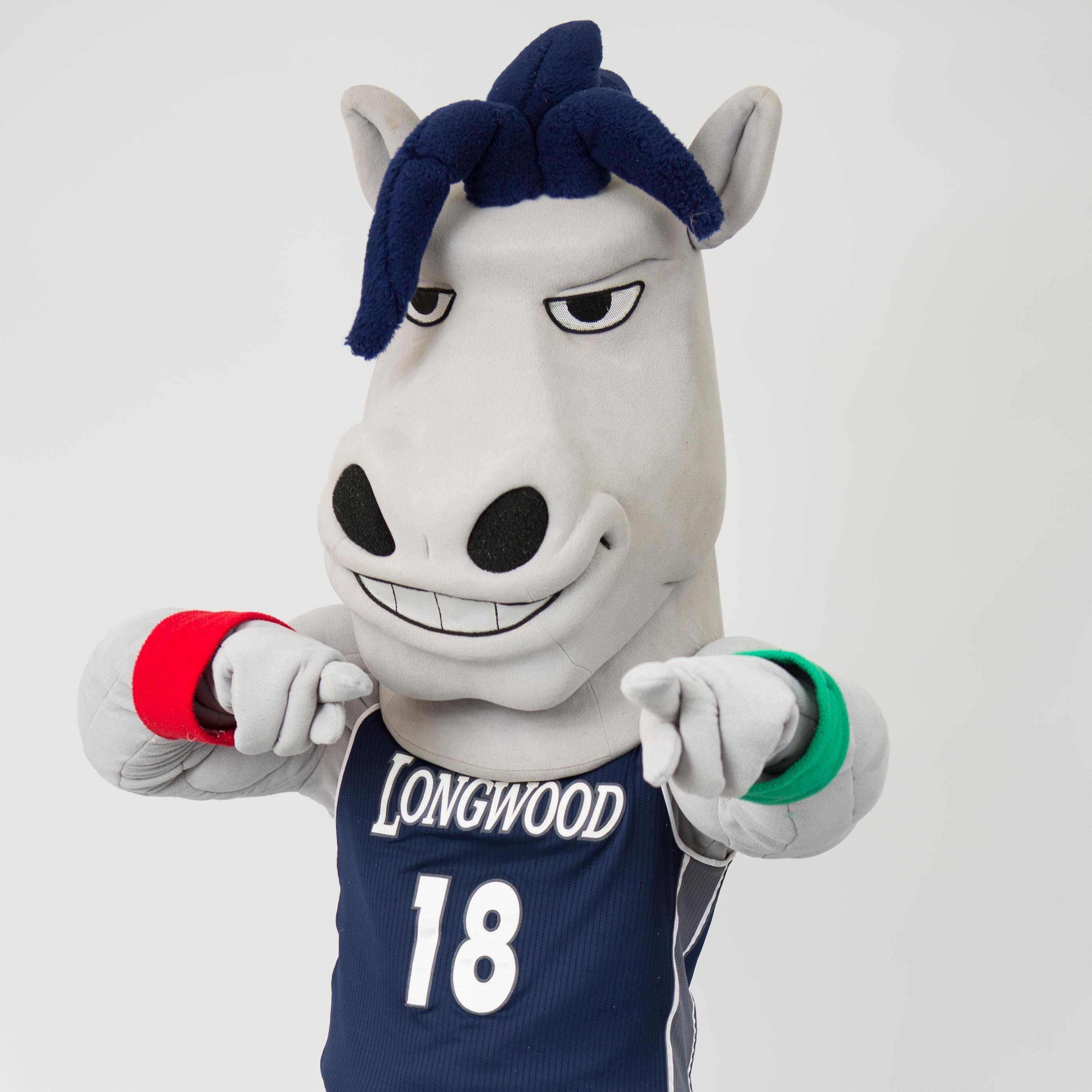 Interests: The Longwood Lancers, Lifting Weights, Carrots