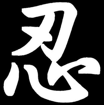 Ordained Buddhist Minister
6th Dan Koga Ryu Ninjutsu
3rd Dan Shotokan Karate
1st Dan Iaido