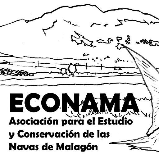 Asociación para el Estudio y Conservación de las “Navas de Malagón” (ECONAMA). #LaManchahumeda