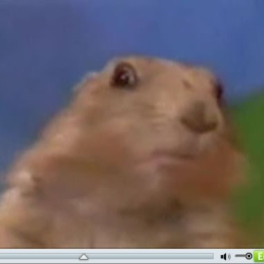 smithra89's profile picture. 