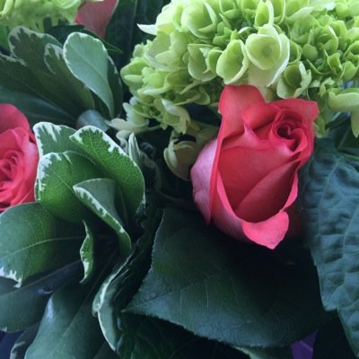 roccadiva1's profile picture. 