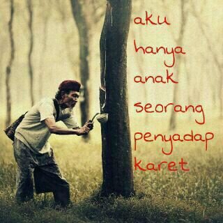 Terlahir Menjadi Liar.