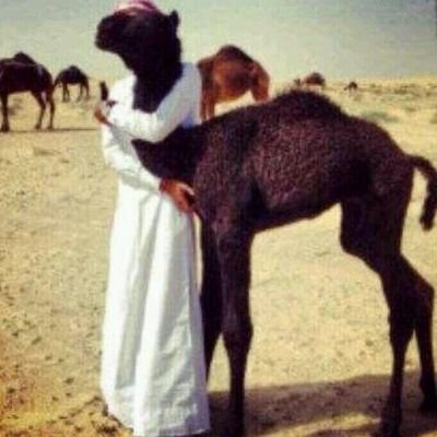 اللي اتابعه ولا يتبعني ماتابعه
