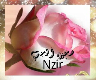 سجين الحب