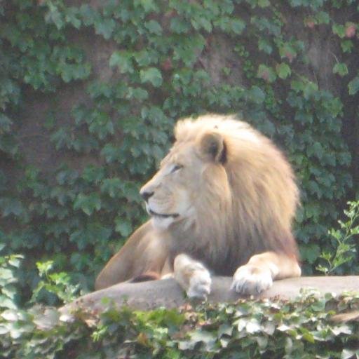 workHisvision's profile picture. 