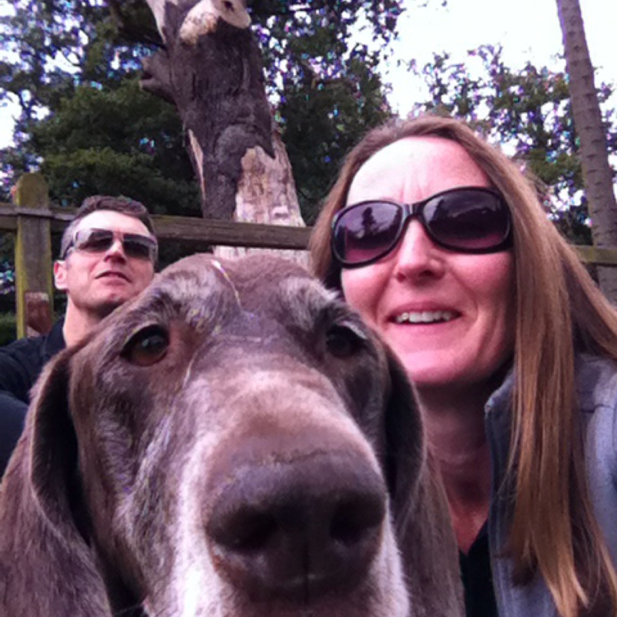 helsspreng's profile picture. 