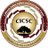 C1CSC1's profile image