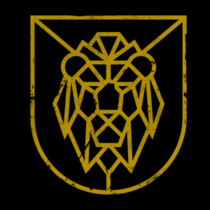 manestacademy's profile picture. We make shirts. For the gym.