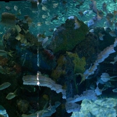 reality_leah's profile picture. Alec stop