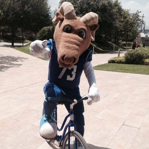 ¡Hola! Soy el Borrego del Tecnológico de Monterrey, Campus Monterrey. Esta cuenta es para platicar y compartir momentos con alumnos en nuestro campus Monterrey.