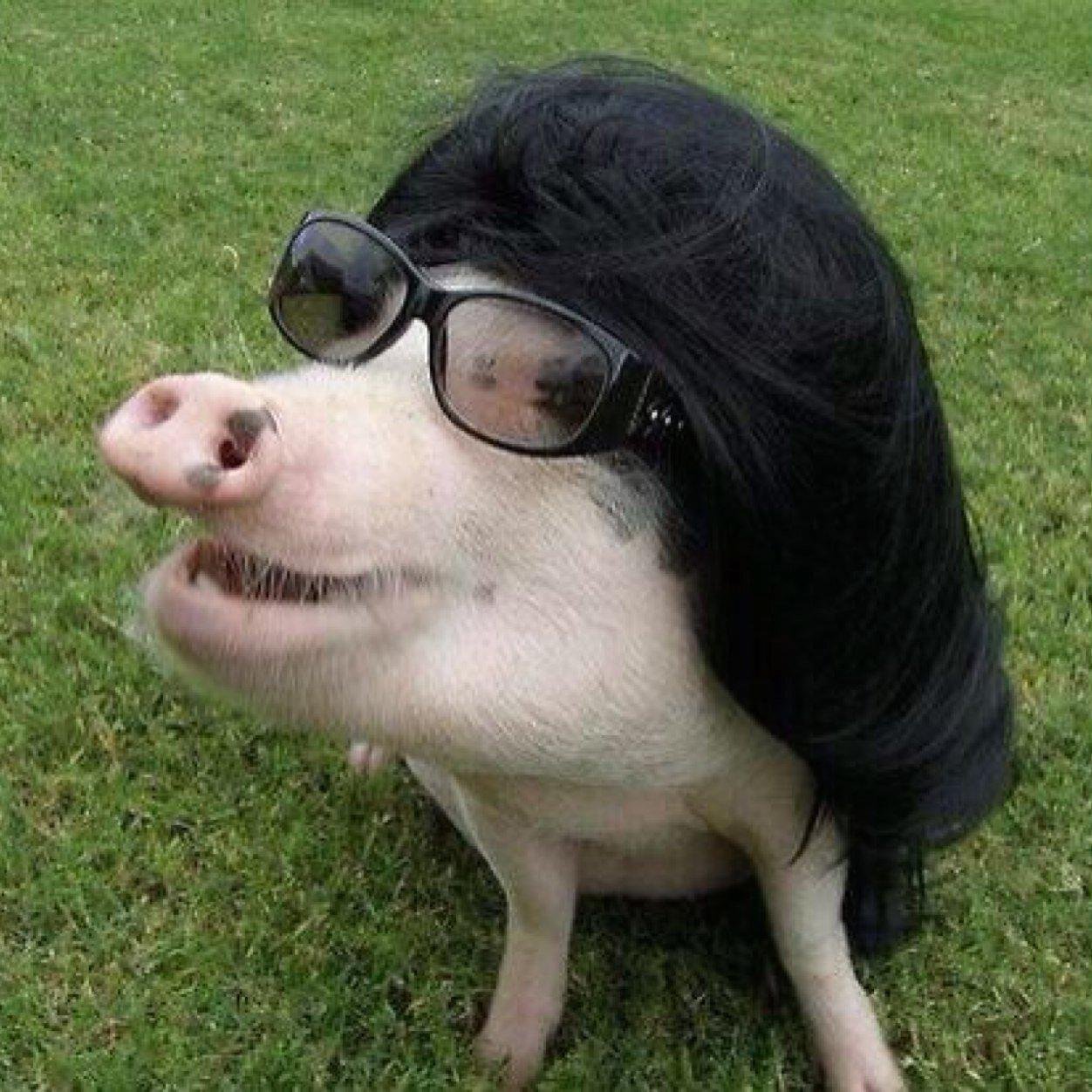 Farmers_Minds's profile picture. Esteemed agriculture and social commentators. Straight talking & omniscient. Official #agbabe #aghunk selectors.  #FMpoints Awards Team.