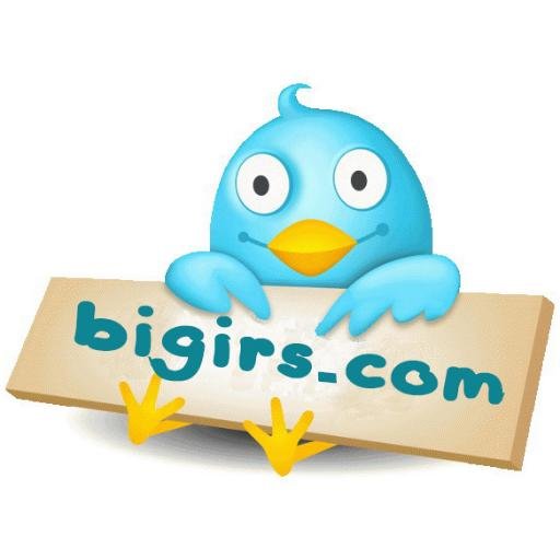 bigirs's profile picture. 