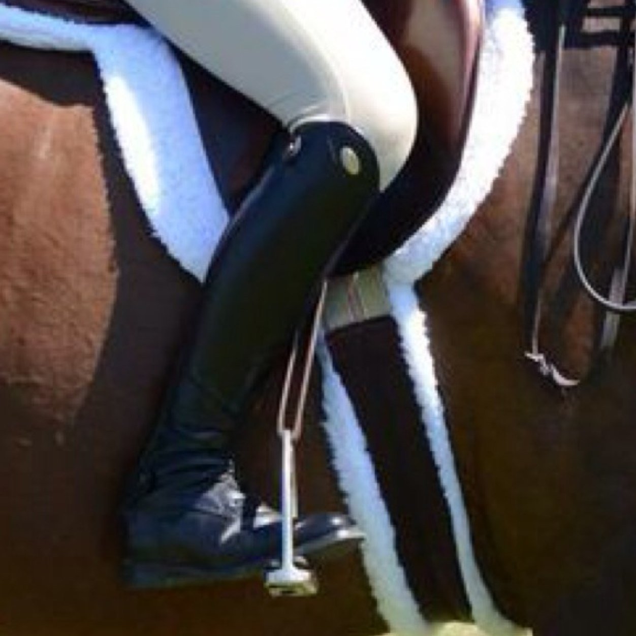 Just another A-Circuit Rider that happens to be a Parlanti Ambassador