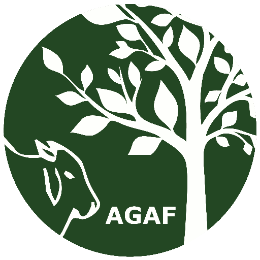 Somos una Asociacion Gremial creada para resolver problemas comunes de los productores Agroforestales y ofrecer soluciones asequibles, oportunas y sostenibles.
