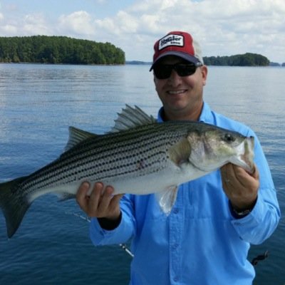 Chris__Wiegand's profile picture. Turf and Landscape Territory Manager for Harrell's LLC