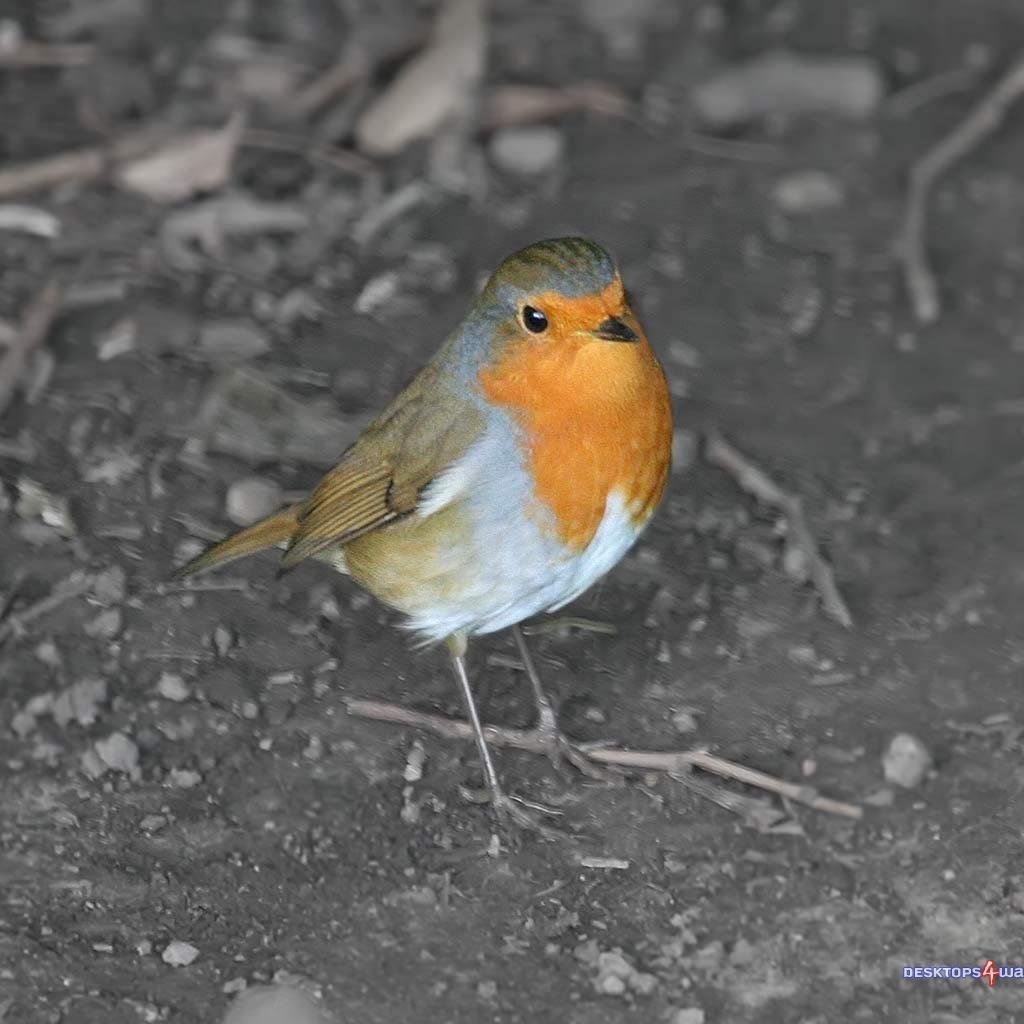 TonyPri81736202's profile picture. Shakespeare reader; off-beat researcher; critical thinker; believer in people and making things better.