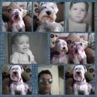JUANGO (@gomeznjm1) 's Twitter Profile