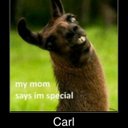 Bailey Spencer - @zeking789 - Twitter