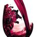 Wine Festivals (@wine_festivals) Twitter profile photo