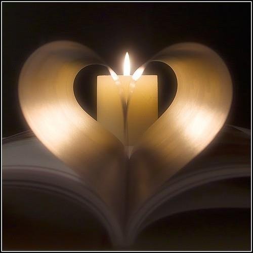 SerenityLove103's profile picture. Anyone interested in a virtual assistant feel free to DM me.