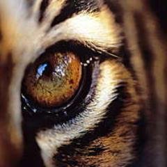 federation2014's profile picture. Сегодня ты помог человеку, а завтра он не помог тебе.