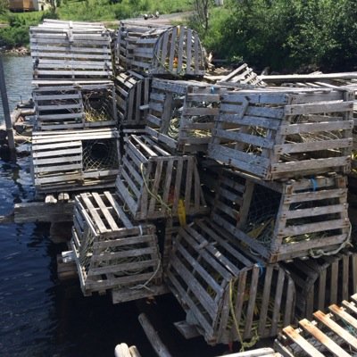 EHidgon's profile picture. 