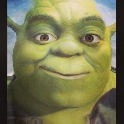 shrek the oger shrek theoger twitter