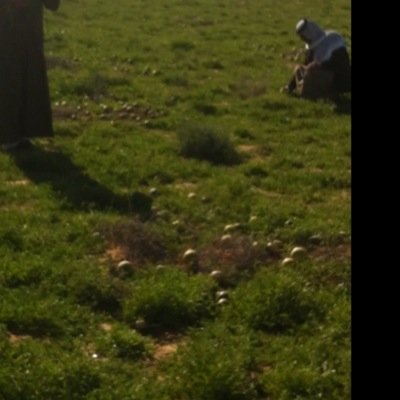 bjiokoky7's profile picture. 