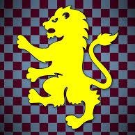 Welcome To The Aston Villa Twitter Pgae