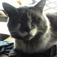 AM (@hideandseek20) 's Twitter Profile Photo