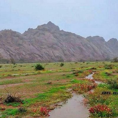 ‏‏المدينه المنوره