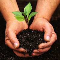 Gardening Tips (@gardening_tools) 's Twitter Profile