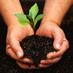 Gardening Tips (@gardening_tools) Twitter profile photo Gardening Tips (@gardening_tools) Twitter profile photo