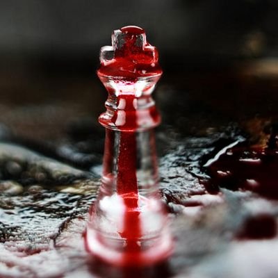 Catalyster's profile picture. 