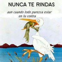 elias euser (@eleuseriano) 's Twitter Profile