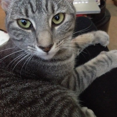 kmills5555's profile picture. 