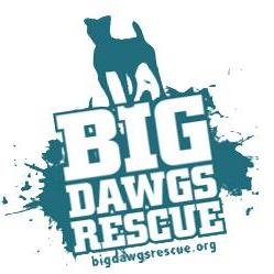 BigDawgsRescue1's profile picture. Big Dawgs Rescue is a 501c rescue group