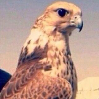 ‏سناب  mhmd-30