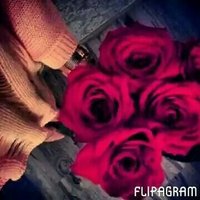 Myamy (@shbyr) 's Twitter Profile