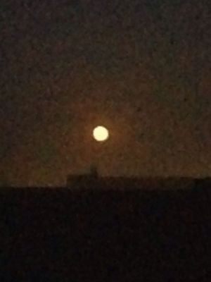 aauff1's profile picture. _Osamaa2