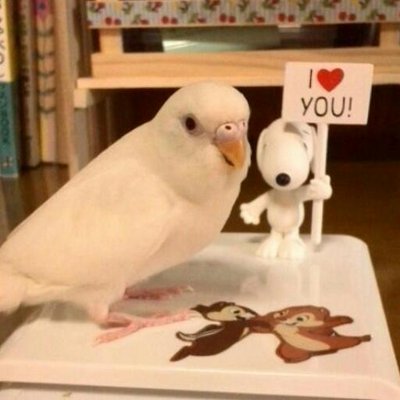 しお