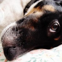 Baguette Magique ⓩ ن Ⓥ (@baguettemagique) 's Twitter Profile