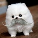 Tiffany Marx - @TiffMarx - Twitter