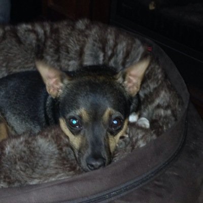 jylalumiere's profile picture. 