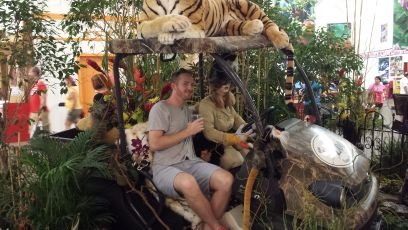 NOhlroggen's profile picture. 